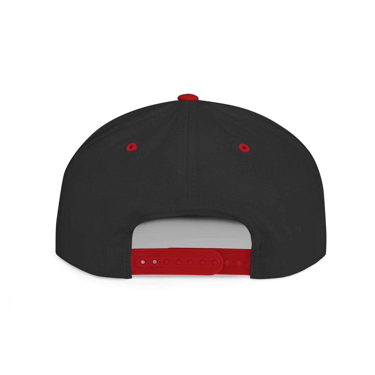 The Astronaut Stitched Snapback Hat
