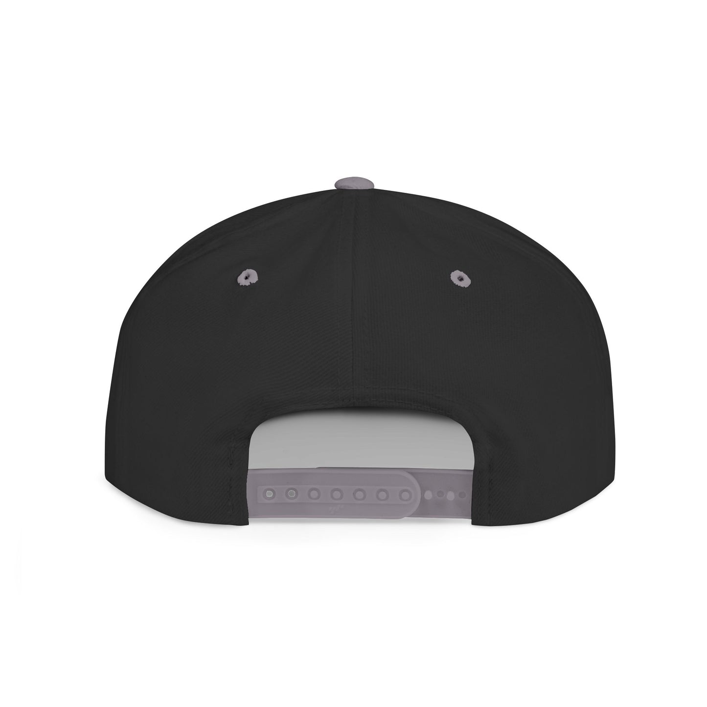 The Astronaut Stitched Snapback Hat