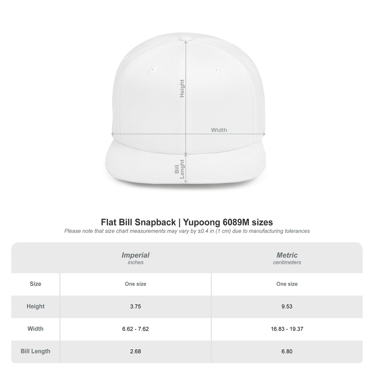 The Astronaut Stitched Snapback Hat